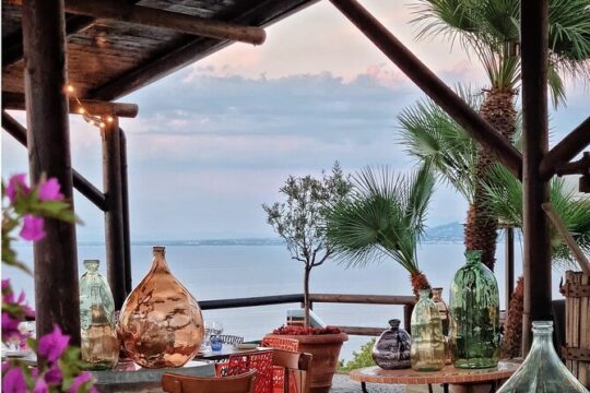 Private tour in Ischia island with tasting wine
