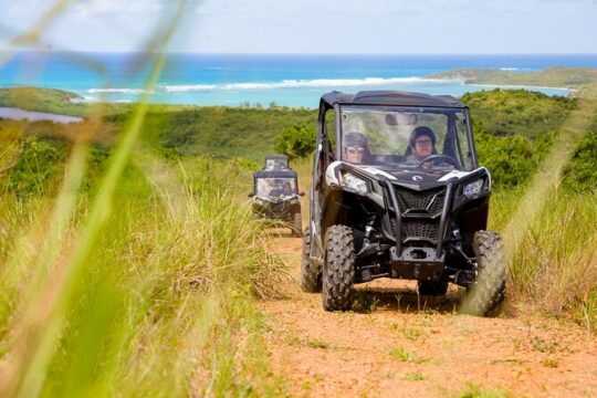 Dos Mares and Rainforest UTV Adventure Tour in Fajardo