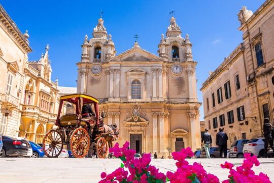 Valletta and Mdina with Co-Cathedral Tickets Full Day tour