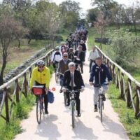 Bike Rentals
