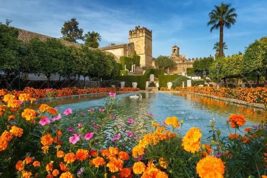 Explore Seville's Icons in Cathedral, Giralda, and Royal Alcázar