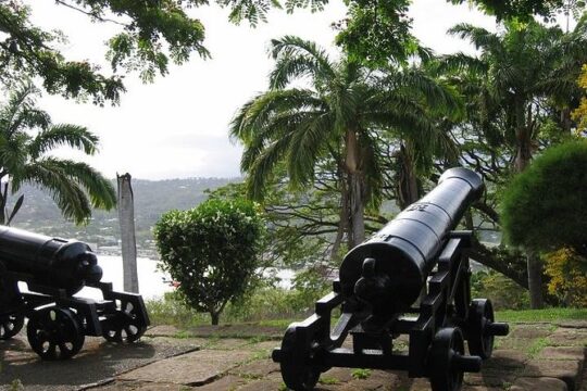Highlights of Tobago Tour