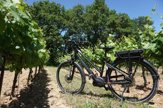 Luberon Electric Bike Rental from Bonnieux