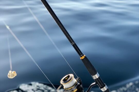 Explore Sesimbra Sports Fishing