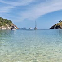 Cruises, Sailing & Water Tours