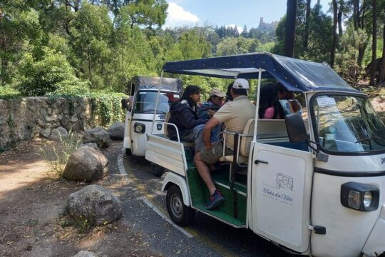 1H Tuk Tuk Tour through the historic center to the Peña Palace