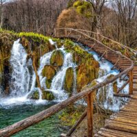 Eco Tours