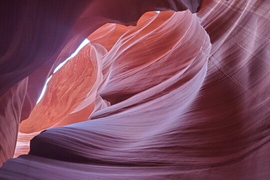 LOWER Antelope Canyon and Horseshoe Bend Tour from Flagstaff