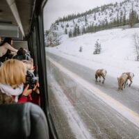 Holiday & Seasonal Tours