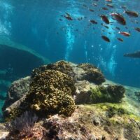 Private & Custom Tours