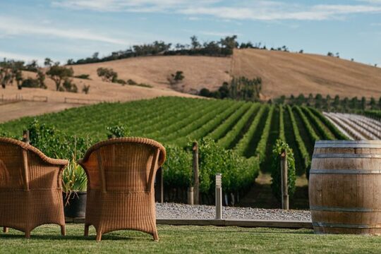 Yarra Valley 2-6 guests with Lunch and Gin Tasting at Four Pillars