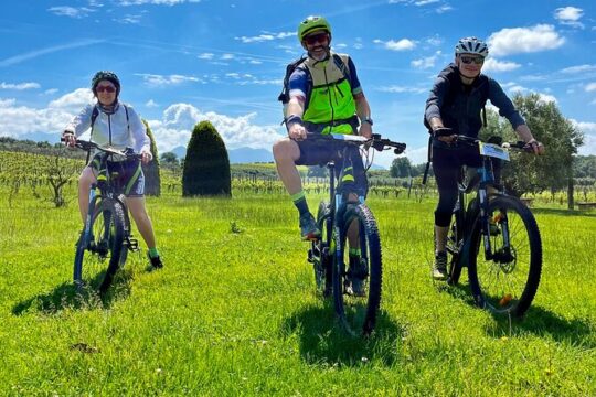 The Juice of Romagna An Ebike Wine Experience from Forlì