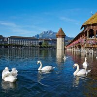 Multi-day Tours