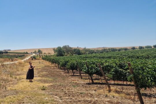 2 Wines in Évora Alentejo