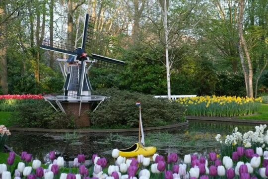 Blooming Beauty Exploring haven of Colors at Keukenhof Gardens