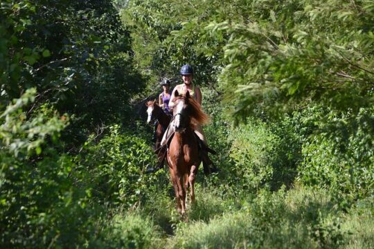 Award-winning Private Classic Horseback Ride