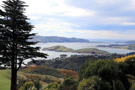 A Perfect Day In Dunedin (Private Tour)