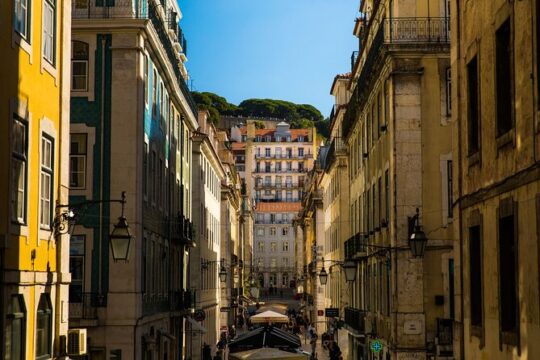 Lisbon Private Street Art Walking Tour With A Guide