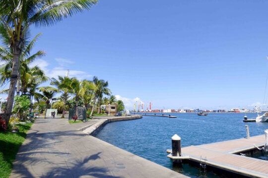 Guided tour of the Tahiti Museum and West Coast