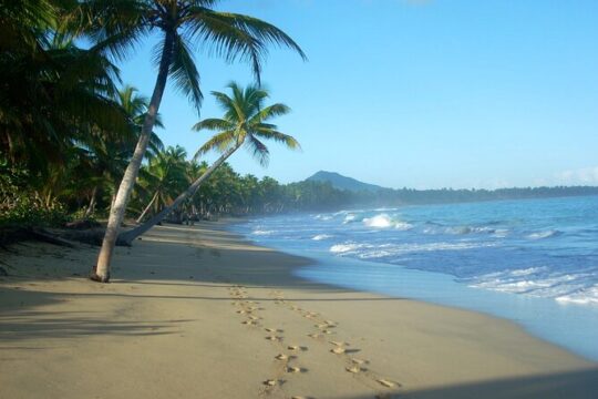 Private Boat Nature Tour of Limón Beach and Lagoon