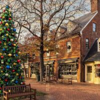 Holiday & Seasonal Tours