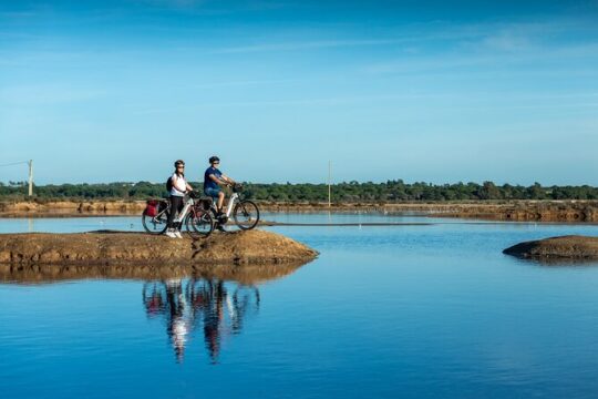 Faro City & Ria Formosa E-Bike Tour