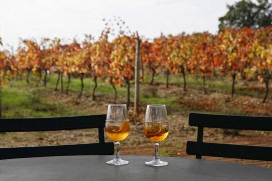 Setubal and Arrabida Private Wine Tour from Lisbon