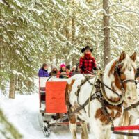 Horse Carriage Rides