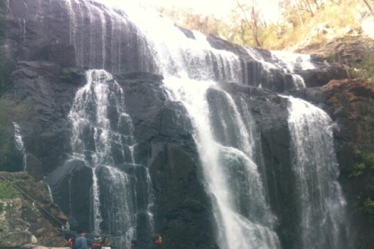 Private Grampian National Park Day Tour