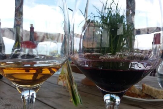private wine tour in Kakheti