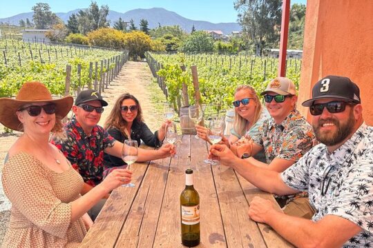 Private Ensenada Tacos and Wine Tour