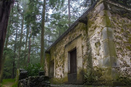 Discover Hiking Trails and a Convent in Desierto de los Leones