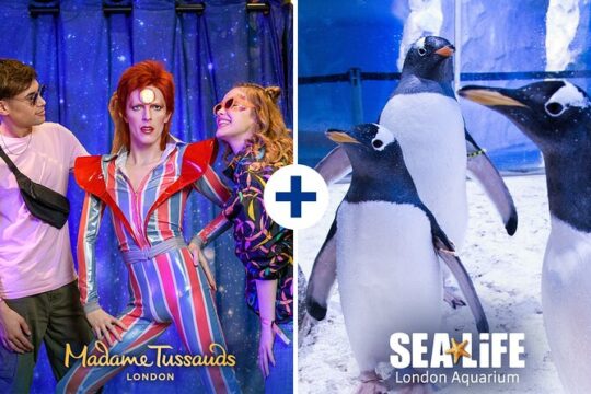 Combo Ticket: Madame Tussauds & SEA LIFE London Aquarium