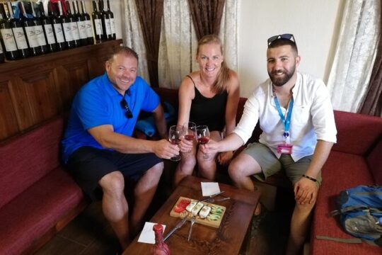 Private Ephesus & Sirince Village Tour from kusadasi