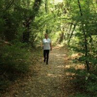 Walking & Biking Tours