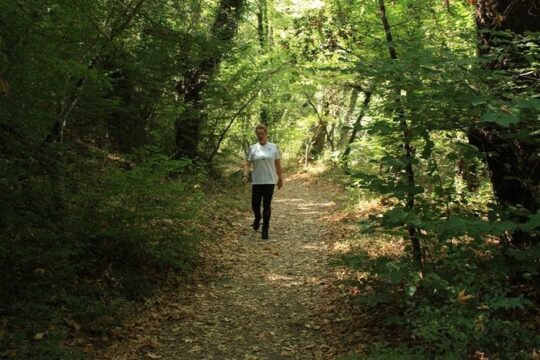 Trekking day at Vikos Gorge for all