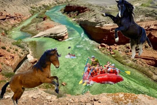 The Cody Two-Step Wild Mustangs And Half Day Rafting Trip W/Lunch