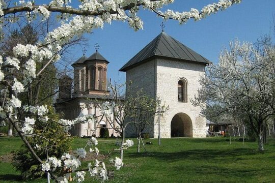Dracula's Tomb and Mogosoaia Palace, Private Tour from Bucharest