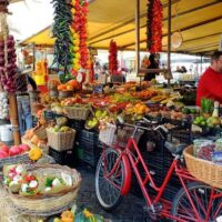 Chocolate Tours