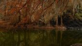 Beautiful and Unforgettable Experience!