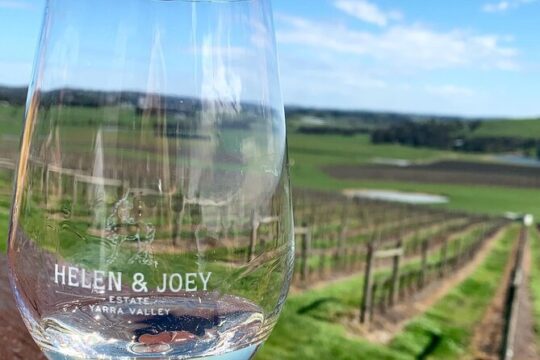 Yarra Valley Wineries Day Trip
