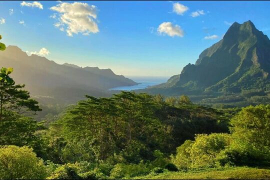 Moorea Off-Road Safari – Tailored for Cruise Ship Travelers!
