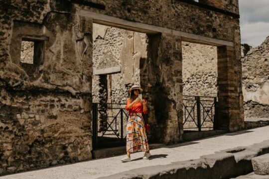 Pompeii Guided Tour with Train Included from Rome