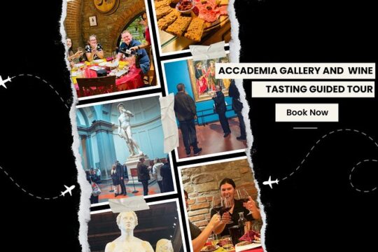 Accademia Gallery Guided Tour With Wine Tasting