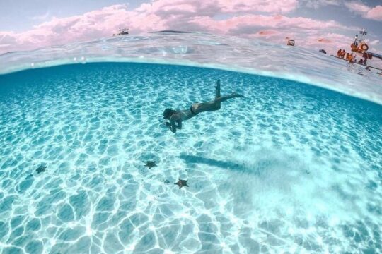 Cozumel Underwater Wonders: El Cielo Sandbar & Reef Snorkeling