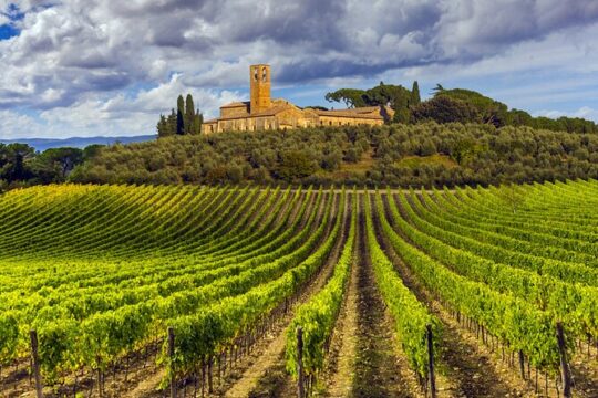 From Florence: WineTour Siena and Chianti 2 Wineries & Lunch