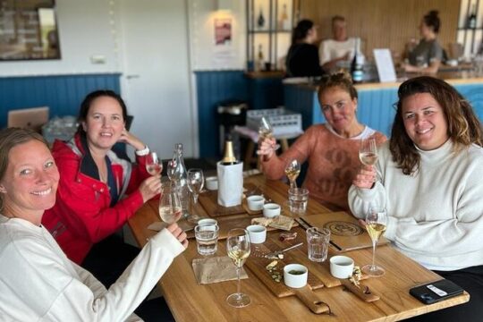 Wine Tasting with Cheese and Wine Pairing