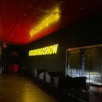 Light & Sound Shows
