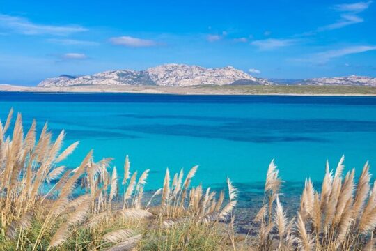 Stintino Half Day Catamaran Tour to La Pelosa with Aperitif