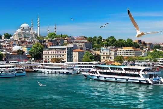Natural Princes' Islands Tour - Small Group
